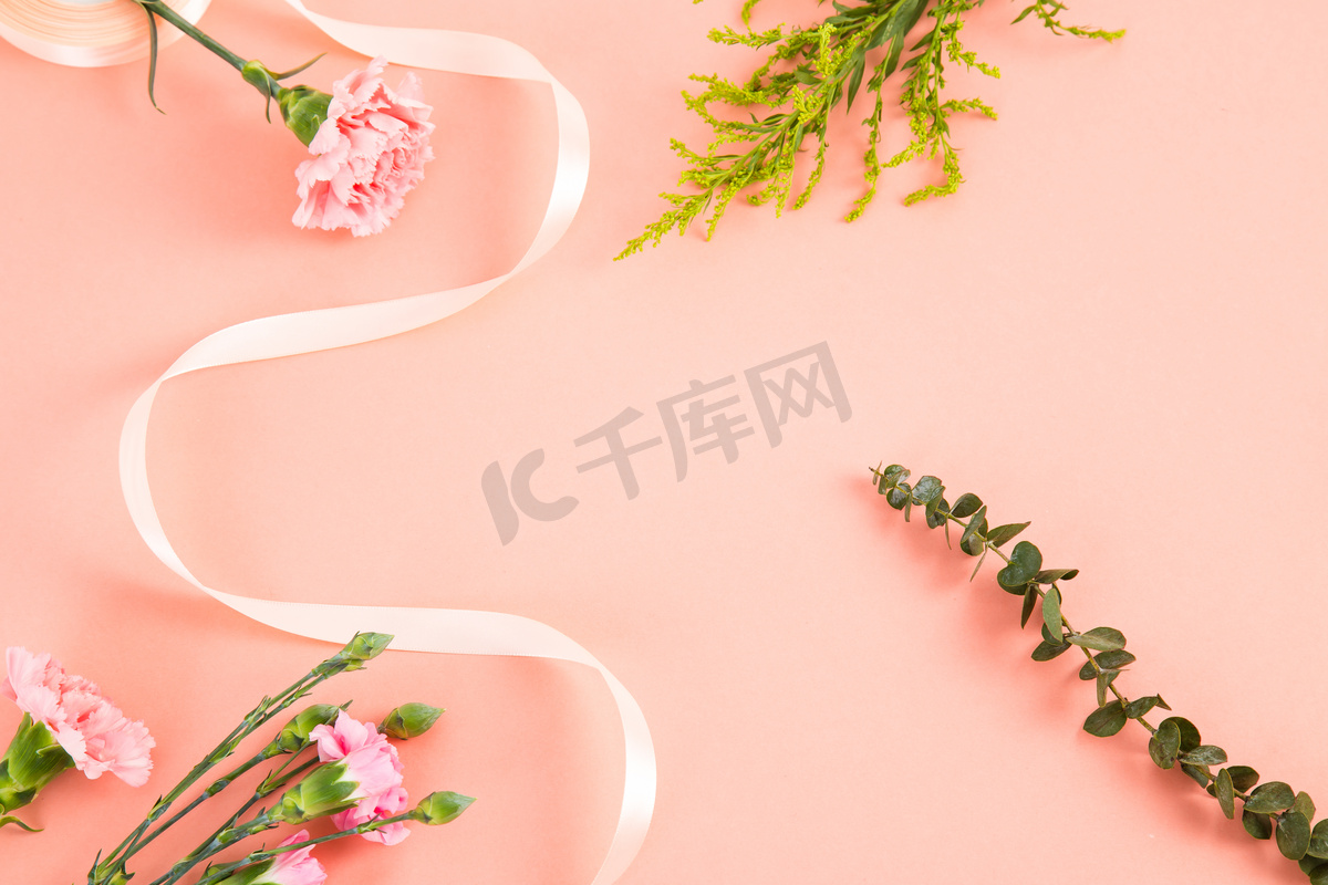 母亲节鲜花粉色康乃馨摄影图2图片