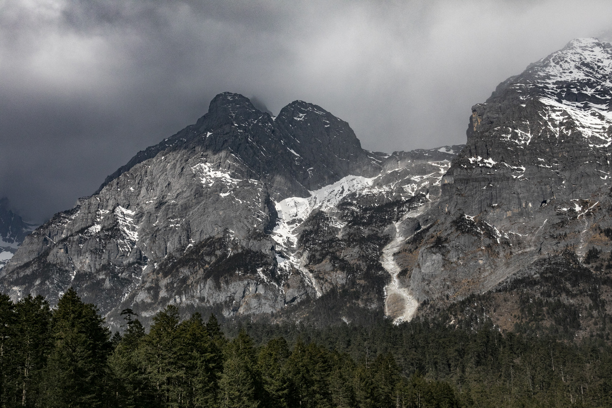 自然风景云雾雪峰森林摄影图图片