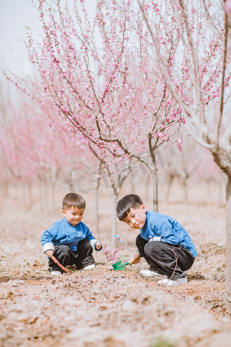 桃花树下玩土的小男孩图片