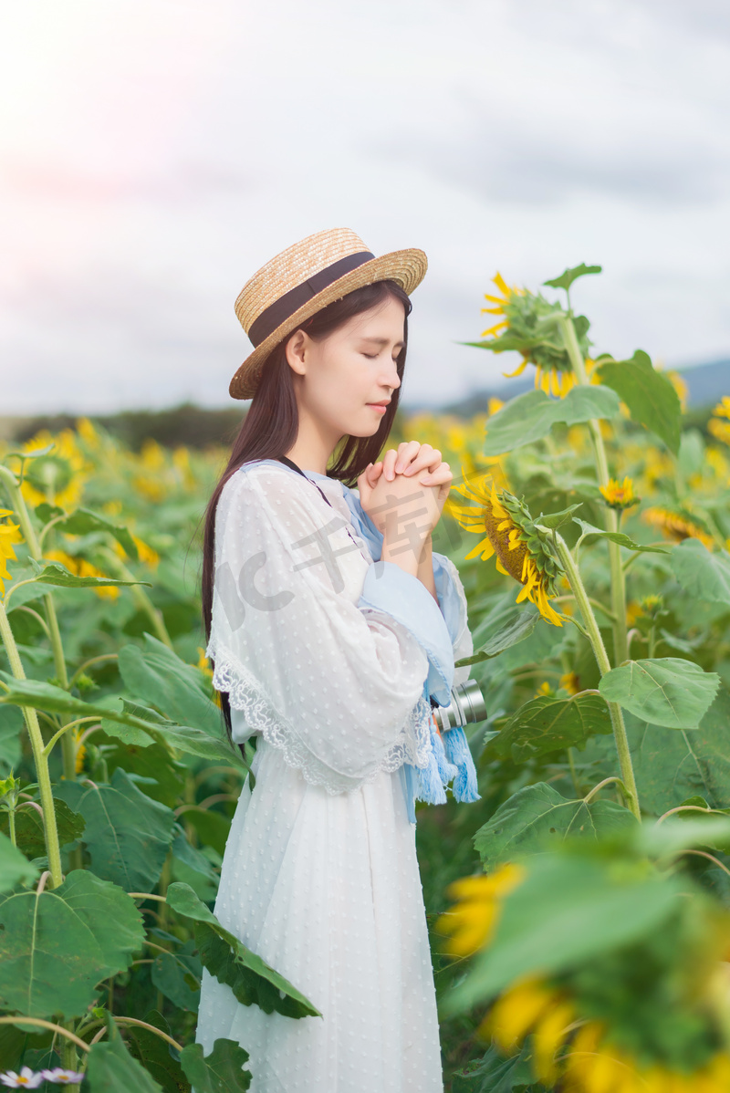 向日葵花海戴帽子的女孩祈祷仪式图片