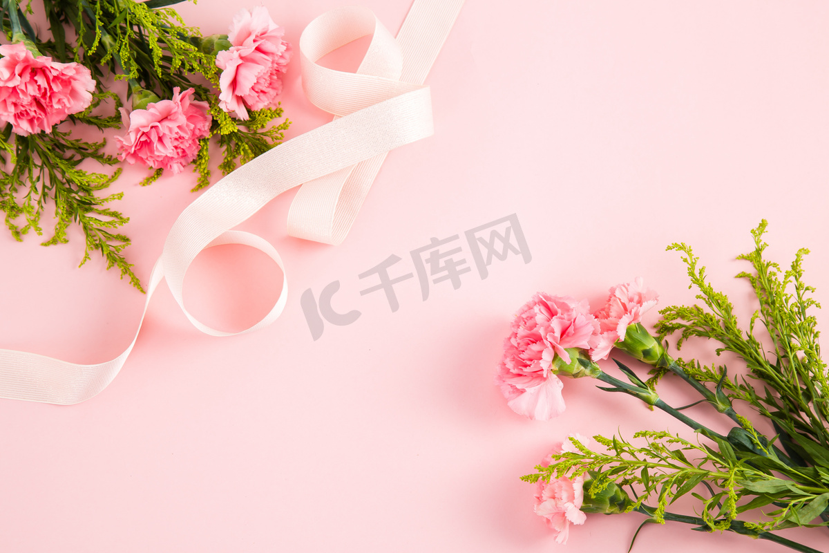 粉色鲜花康乃馨摄影图12图片