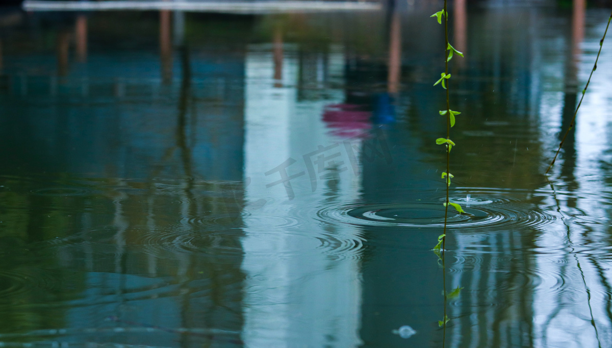 雨中小池塘涟漪摄影图图片