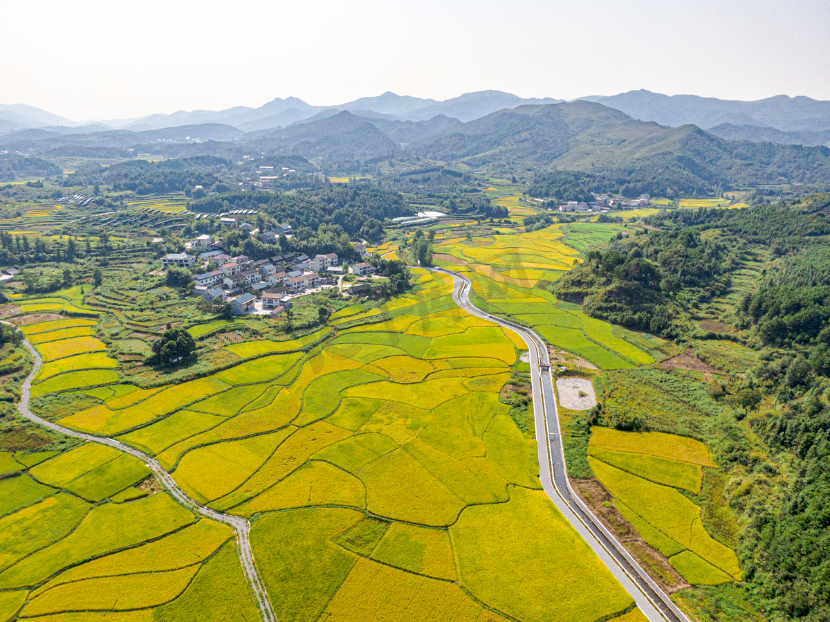 航拍乡村田园秋收摄影图图片