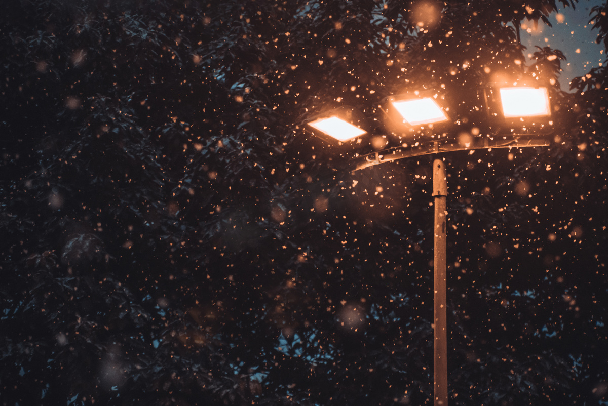 冬天夜晚路灯街道下雪摄影图配图图片