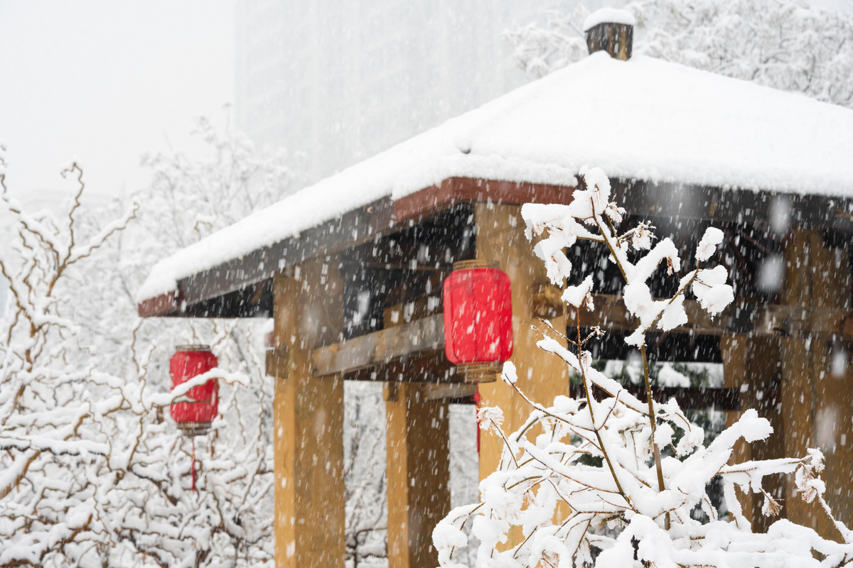 冬季雪景白天冬季雪景亭子落雪室外冬季雪景摄影图配图图片