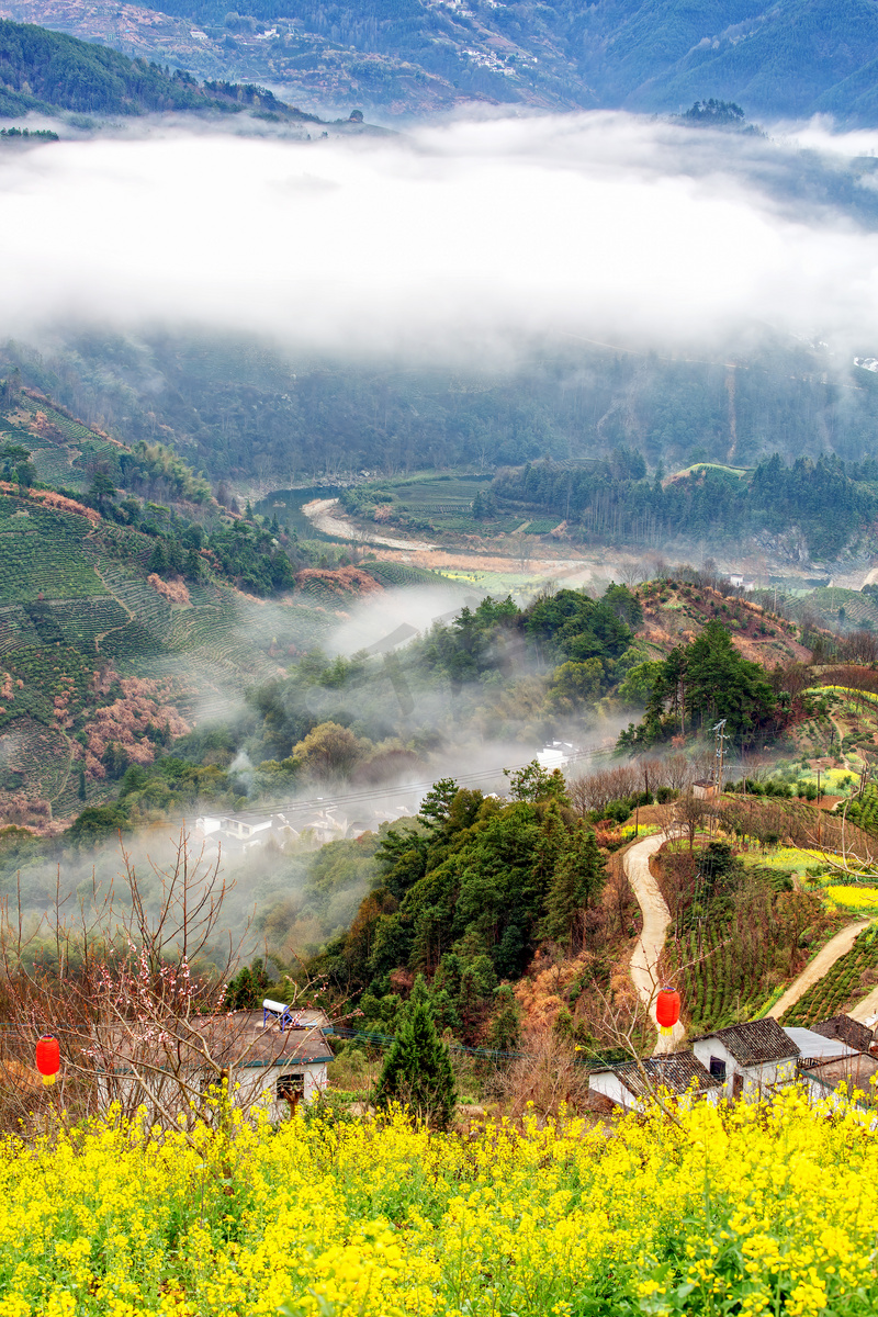 村庄清晨油菜花山区无摄影图配图图片