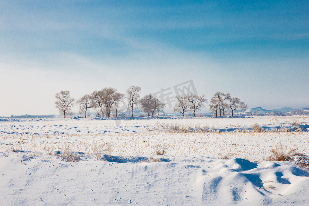 北方冬季冬天雾凇雪景雪地滑雪树挂图片