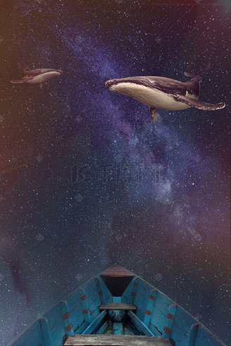 星空唯美梦幻海豚