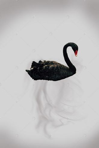 水墨天鹅图片_水墨天鹅设计图片素材大全-千库网