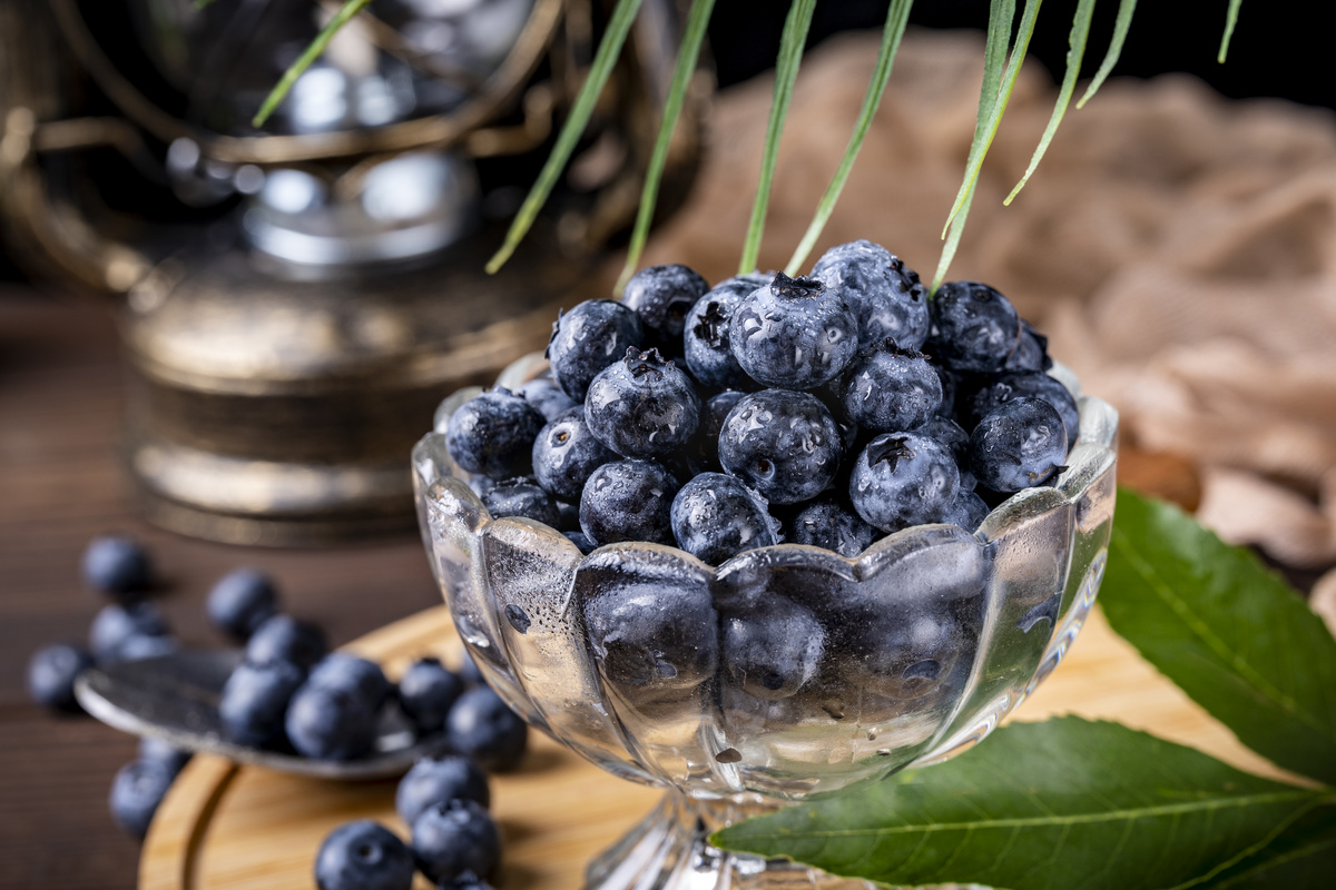 现摘蓝莓大鲜果营养浆果摄影图配图图片