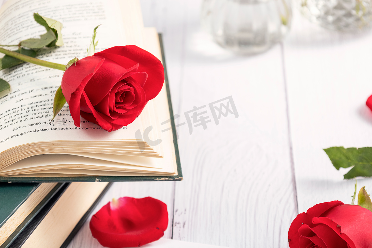 红玫瑰情人节清新风格文艺海报摄影图配图图片