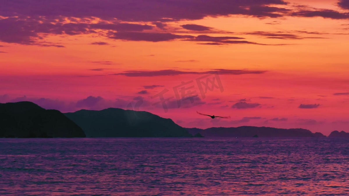 夕阳火烧云大海海鸥图片