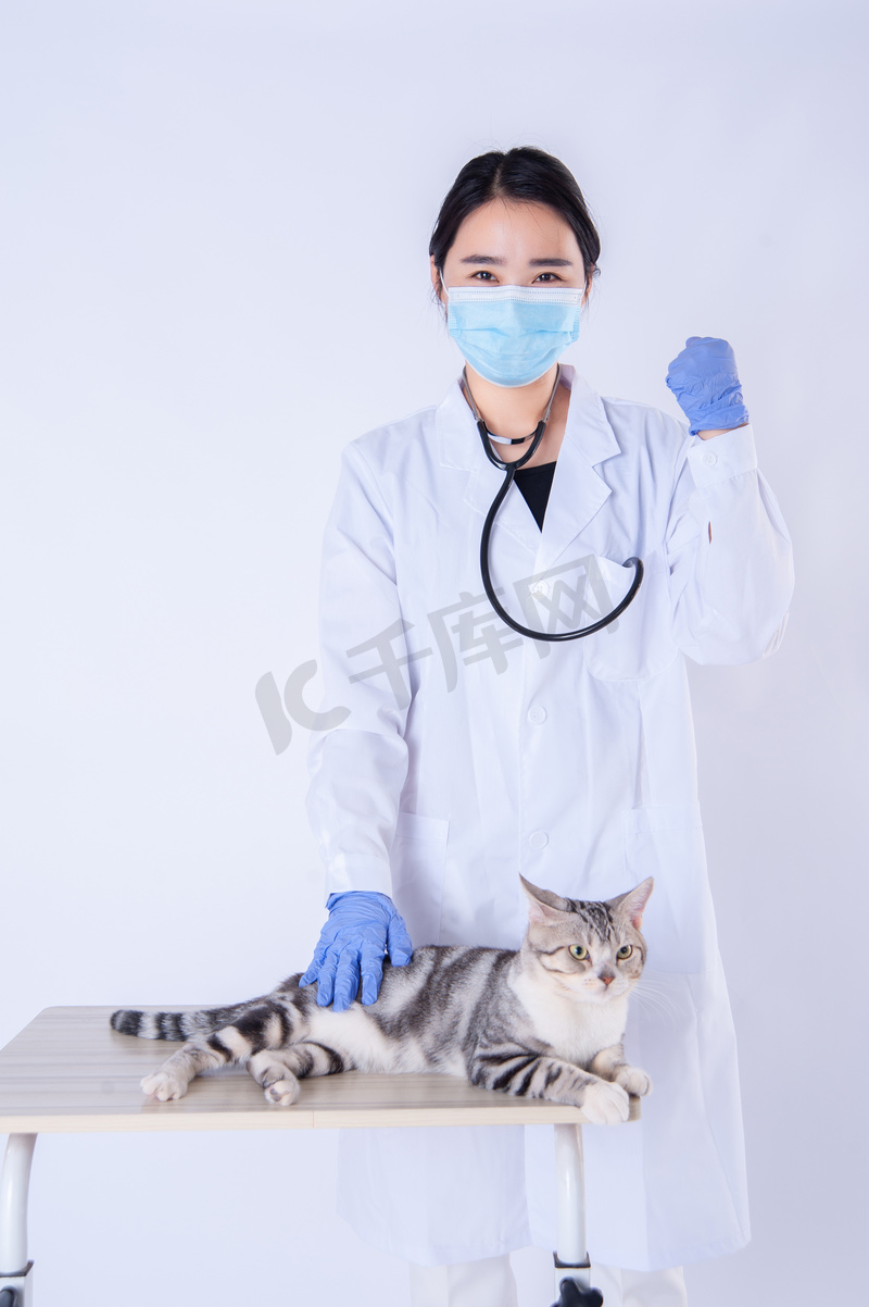 医生和猫白天医生和猫在诊室内加油手势摄影图配图图片