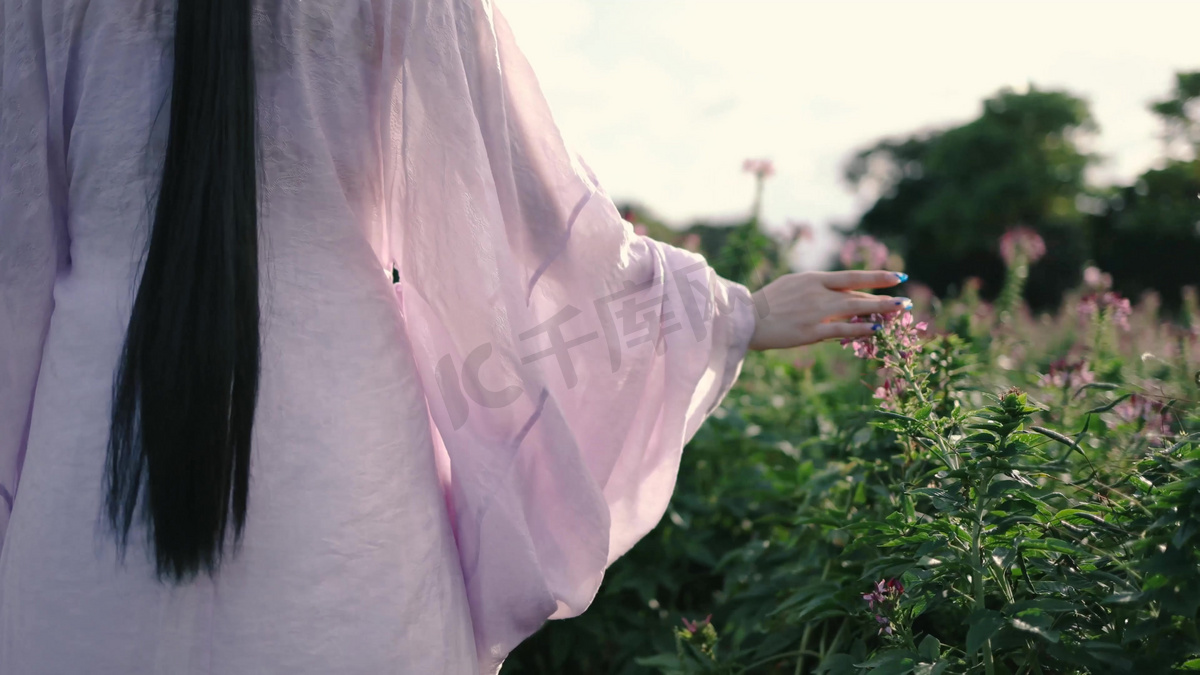 古风汉服女孩在摸花丛中的花古风古装美女图片