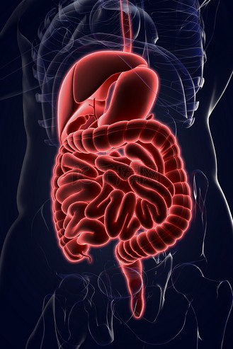 医疗健康人体器官3d科技c4d背景