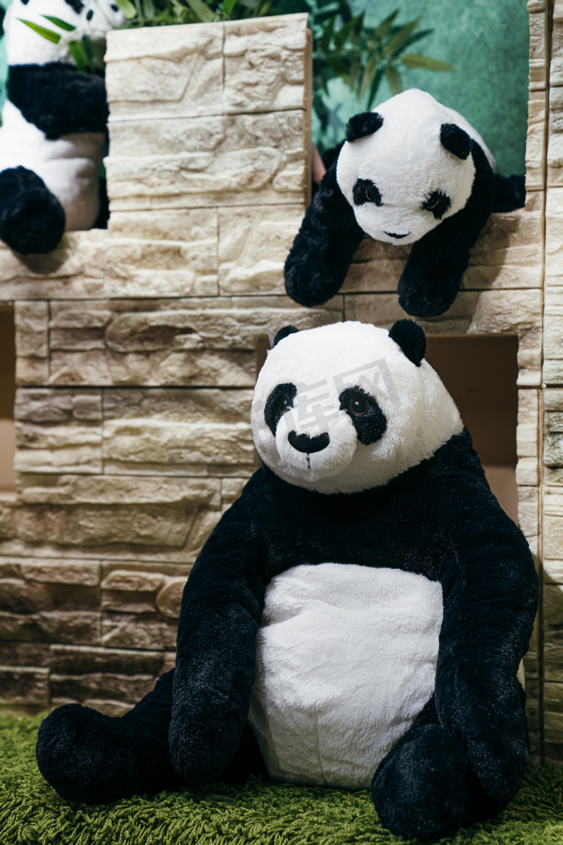 儿童动物玩具熊猫玩偶室内摄影摄影图配图图片