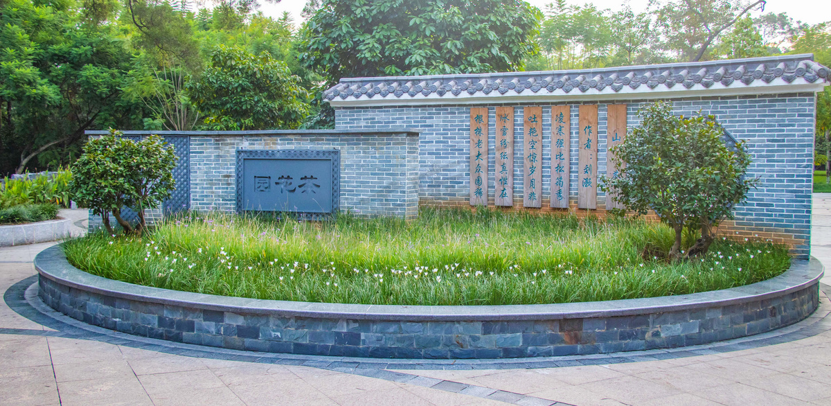 景区中午广西省柳州市雀儿山公园茶花园公园在拍摄摄影图配图图片