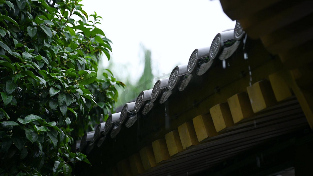 夏季雨天古建筑屋檐雨滴滴落图片