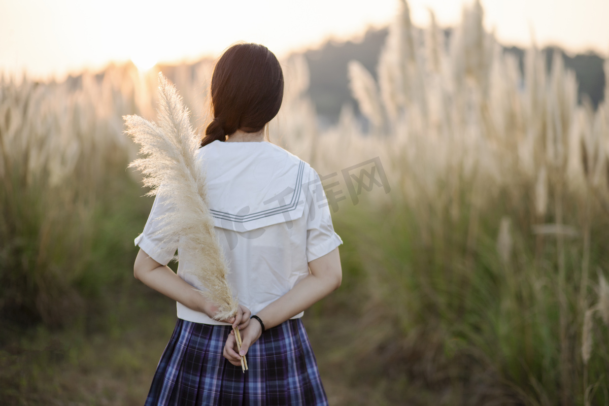 芦苇荡里的女孩背影摄影图配图图片