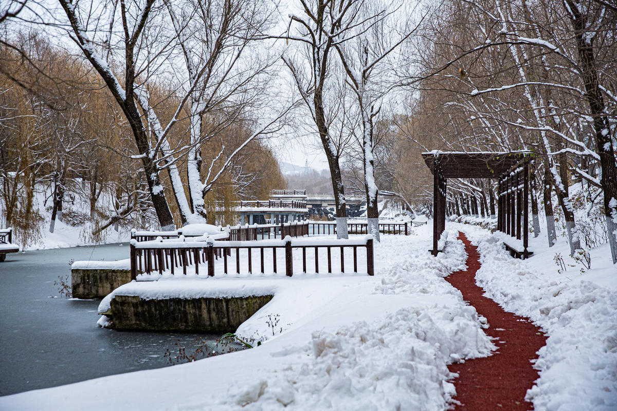 东北大雪雪后大雪小路雪景清扫小路摄影图配图图片