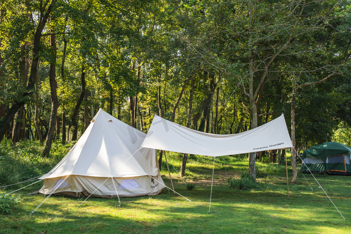 温州永嘉树林里的帐篷下午帐篷公园无摄影图配图图片