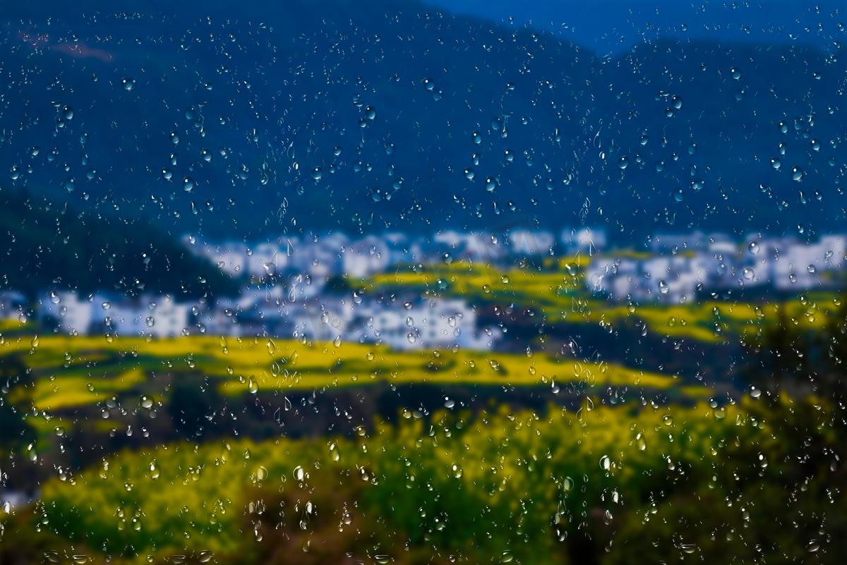 二十四节气谷雨春天下雨油菜花下雨摄影图配图图片