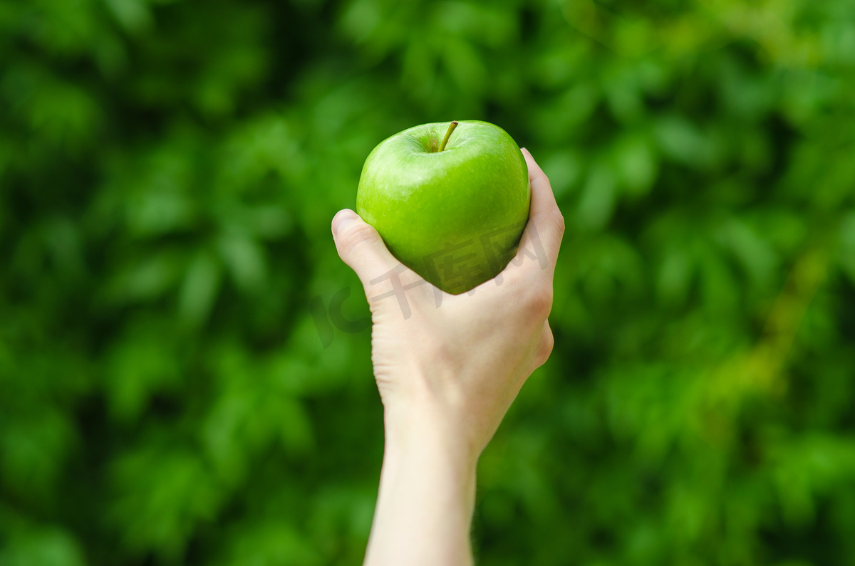 素食主义者和新鲜水果和蔬菜这一主题的性质: 人类的手一个绿色的苹果上绿草背景图片