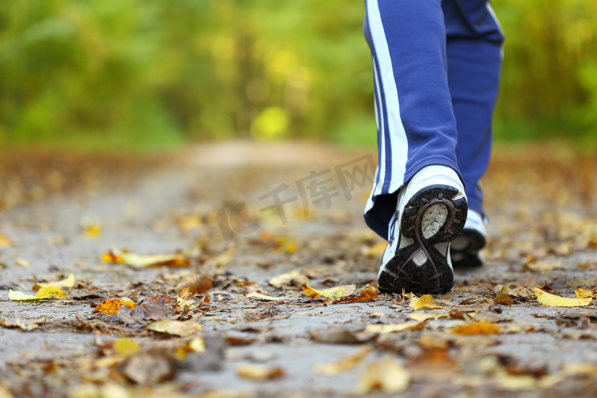 交叉郊游径在秋天的森林中散步的女人图片