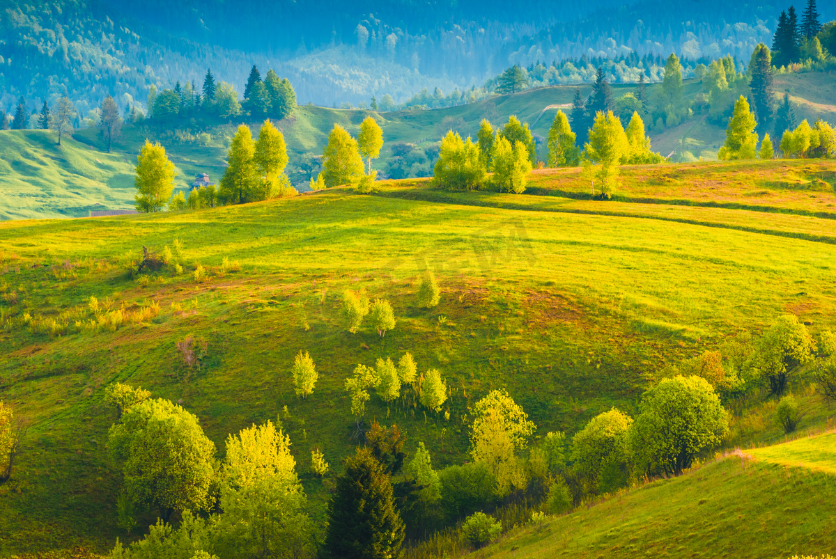 喀尔巴阡黄色谷图片