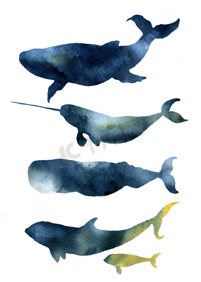 水彩鲸鱼套。手绘海洋动物剪影与天空纹理。打印与蓝鲸，harwhale，抹香鲸，逆戟鲸在白色背景上分离。设计、 印刷、 织物和背景.图片