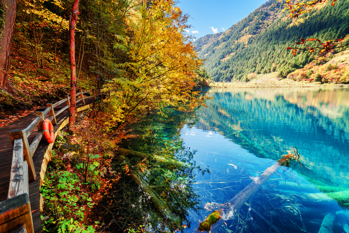 美丽的湖景与蔚蓝的水在秋天的树林之间图片