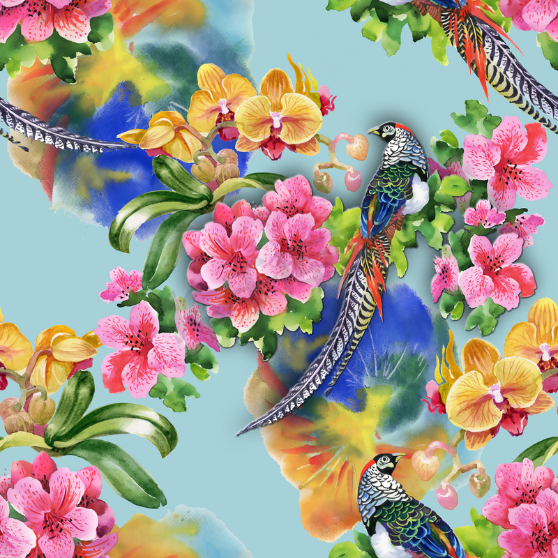 热带鸟与花图片