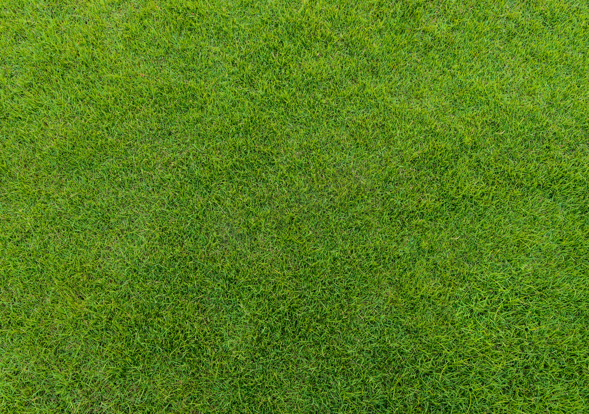 从高尔夫球场在日落添绿草模式图片