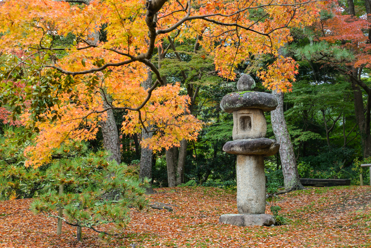 在日式花园初秋奈良，日本传统石灯笼图片