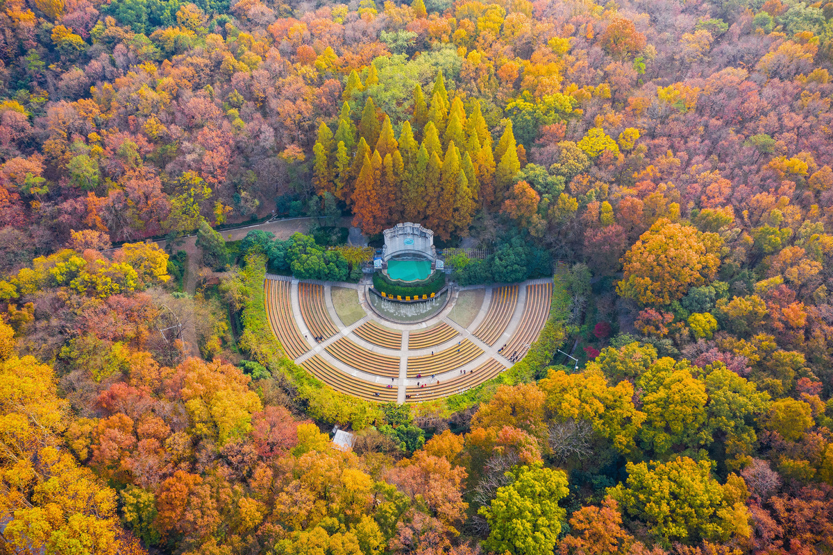 An aerial view of the colorful autumn leaves in Zhongshan Park scenic spot in Nanjing city, east China's Jiangsu province, 20 October 2018. 图片