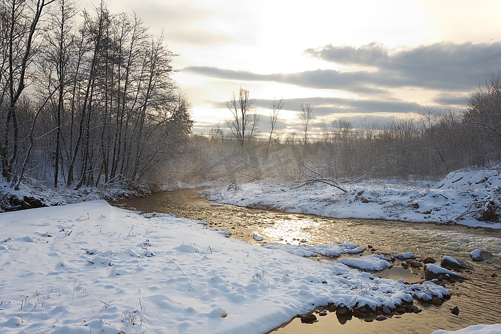 冬天的一条小河，四周是白雪皑皑的树林，横框图片