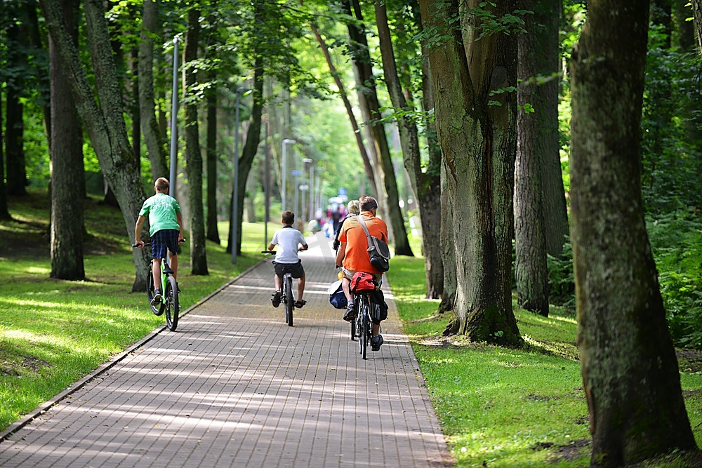 骑自行车的人在公园的自行车道上骑车图片