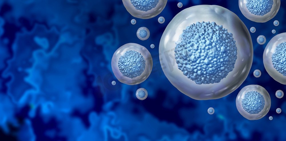 干细胞作为多细胞生物体的细胞治疗作为一个3D插图。图片