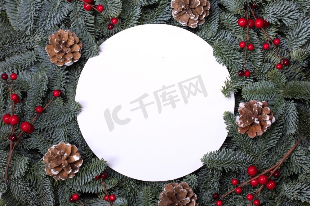 天然冷杉圣诞树松果红冬青浆果，在白色孤立的圆形边框框架，文本复制空间。冷杉树枝框架在白色图片