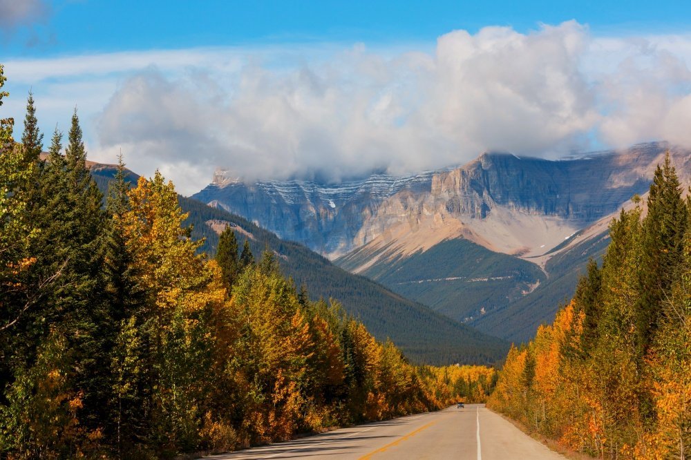 加拿大山区美丽的秋天。秋季背景。图片