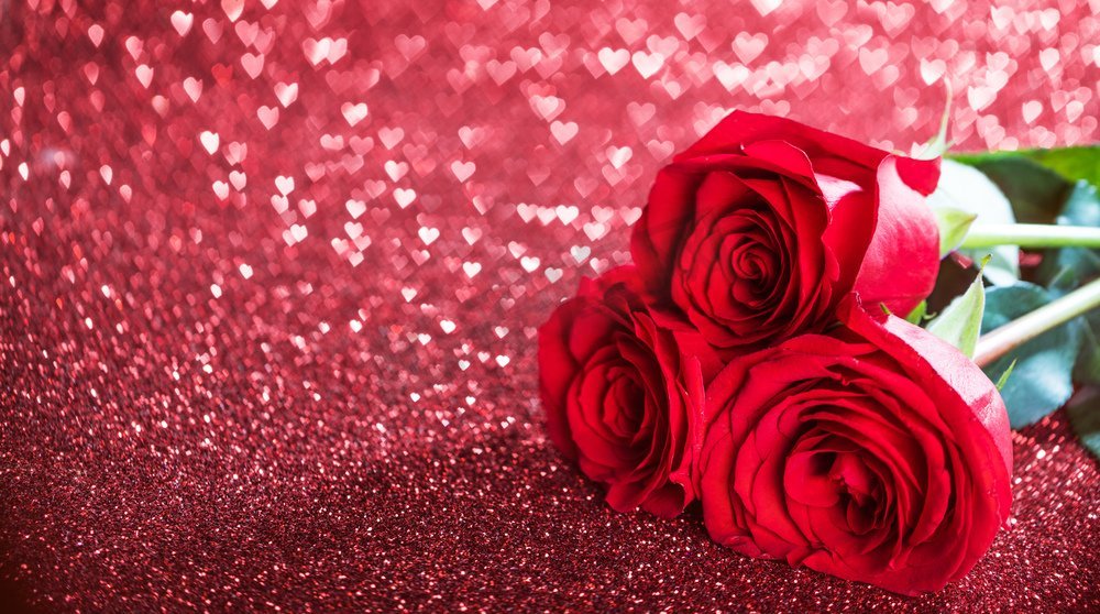 三个美丽的红玫瑰心形散景闪烁背景。闪耀的红玫瑰图片