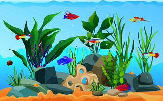 手绘鱼和海藻的水族馆.