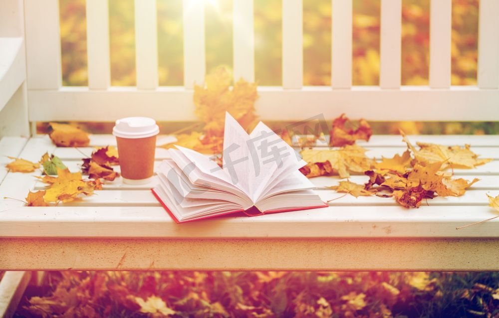 季节、教育和文学概念秋季公园的长凳上打开书本和咖啡杯。秋日公园的长凳上打开书本和咖啡杯图片
