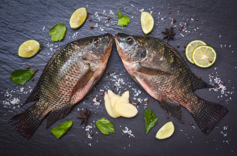罗非鱼、淡水鱼、生姜、柠檬、柠檬、药草调料亚洲餐厅的烹饪蔬菜/黑色背景的新鲜生罗非鱼图片