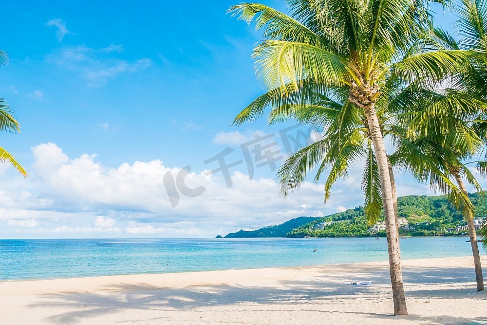 美丽的热带海滩和大海的椰子树图片