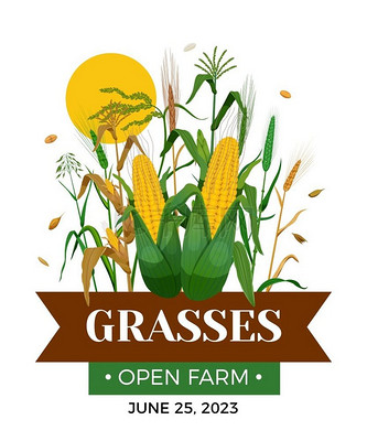 大麦海报图片_大麦海报设计图片素材大全-千库网