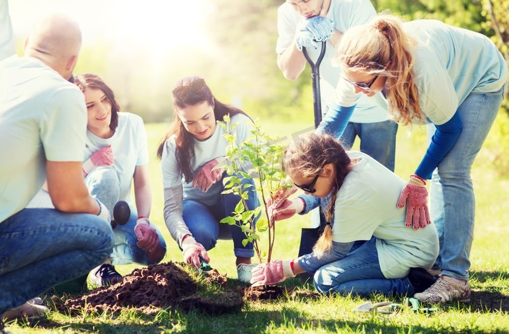 志愿、慈善、人与生态理念--一群快乐的志愿者在公园种树。一群志愿者在公园里植树图片