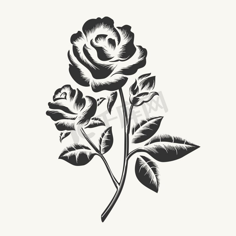 黑色手绘玫瑰花雕刻。玫瑰蚀刻。白色背景下孤立的矢量黑色手绘玫瑰版画图片