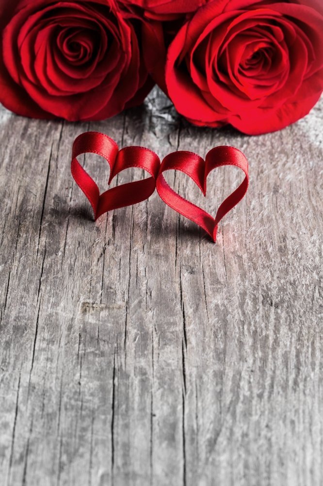 两朵玫瑰和丝带心在木背景，情人节图片