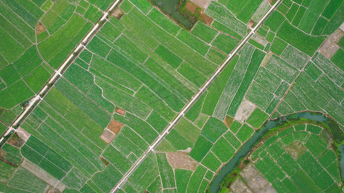 航拍农产品种植基地图片